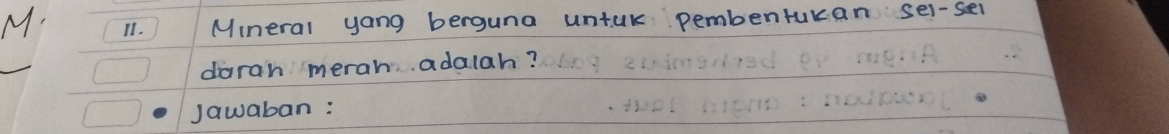 Mineral yang berguna untuk pembenruran sel-sel 
darah merah adalah? 
Jawaban :