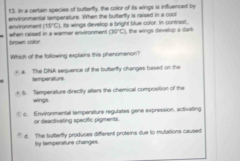 In a cartain species of butterfly, the color of its wings is influenced by
environmental temperature. When the buttertly is raised in a cool
environment (15°C) , its wings develop a bright blue color. In contrast
when raised in a warmer environment (30°C) , the wings develop a dark .
brown color.
Which of the following explains this phenomenon?
a. The DNA sequence of the butterfly changes based on the
temperature.
b. Temperature directly alters the chemical composition of the
wings.
c. Environmental temperature regulates gene expression, activating
or deactivating specific pigments.
d. The butterfly produces different proteins due to mutations caused
by temperature changes.