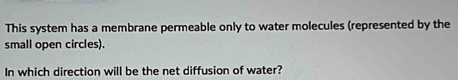 This system has a membrane permeable only to water molecules (represented by the 
small open circles). 
In which direction will be the net diffusion of water?