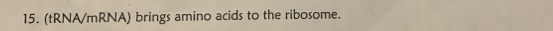 (tRNA/mRNA) brings amino acids to the ribosome.