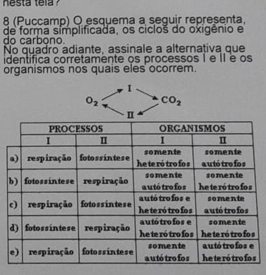 nesta tela ?
8 (Puccamp) Q esquema a seguir representa,
de forma símplificada, os cicloš do oxigênio e
do carbono.
No quadro adiante, assinale a alternativa que
identífica corretamente os processos I e II é os
organismos nos quais eles ocorrem.