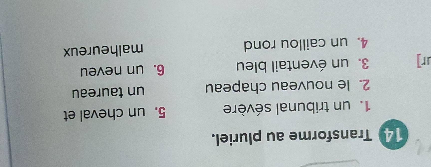 Transforme au pluriel. 
1. un tribunal sévère 5. un cheval et 
2. le nouveau chapeau un taureau 
ur] 3. un éventail bleu 6. un neveu 
4. un caillou rond malheureux