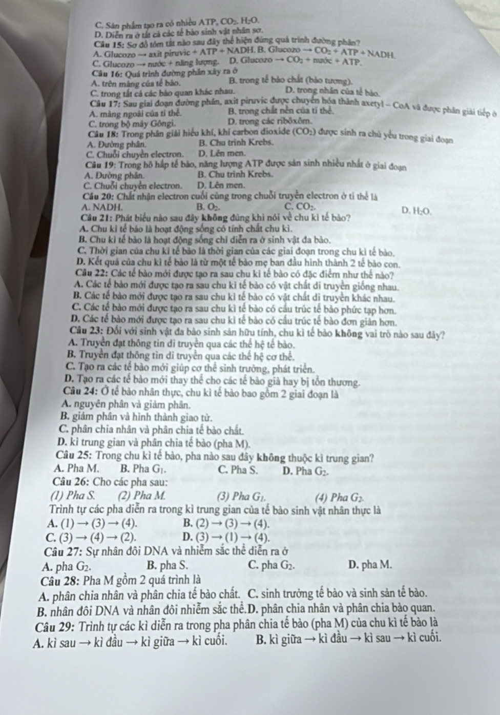 C. Sân phẩm tạo ra có nhiều ATP, CO_2H_2O.
D. Diễn ra ở tất cả các tế bảo sinh vật nhân sơ.
Câu 15: Sơ đồ tóm tất nào sau đây thể hiện đứng quả trình đường phần?
A. Glucozo → axit piruvic ic+ATP+NADI I. B. Glucozo to CO_2+ATP+NADH
C. Glucozo → nước + năng lượng. D. Glucazo to CO_2+mate+ATP.
Cầu 16: Quá trình đường phân xây ra ở
A. trên màng của tế bảo. B. trong tế bảo chất (bảo tương).
C. trong tất cả các bảo quan khác nhau. D. trong nhân của tể hảo.
Câu 17: Sau giai đoạn đường phần, axit piruvic được chuyển hóa thành axetyl - CoA và được phân giải tiếp ở
A. màng ngoài của tỉ thể. B. trong chất nền của tí thể.
C. trong bộ máy Gôngi. D. trong các ribōxôm.
Câu 18: Trong phân giải hiệu khí, khí carbon đioxide (CO_2) được sinh ra chủ yểu trong giai đoạn
A. Đường phân. B. Chu trình Krebs.
C. Chuỗi chuyền electron. D. Lên men.
Câu 19: Trong hô háp tế bảo, năng lượng ATP được sản sinh nhiều nhất ở giai đoạn
A. Đường phân. B. Chu trình Krebs.
C. Chuỗi chuyên electron. D. Lên men.
Cầu 20: Chất nhận electron cuối cùng trong chuỗi truyền electron ở tỉ thể là
A. NADH. B. O_2. C. CO_2.
D. H_2O.
Câu 21: Phát biểu nào sau đây không đủng khì nói về chu kì tế bào?
A. Chu kỉ tế bảo là hoạt động sống có tính chất chu kì.
B. Chu kỉ tế bảo là hoạt động sống chỉ diễn ra ở sinh vật đa bào.
C. Thời gian của chu kỉ tế bảo là thời gian của các giai đoạn trong chu kì tế bảo.
D. Kết quả của chu kì tế bào là từ một tế bào mẹ ban đầu hình thành 2 tế bảo con.
Câu 22: Các tế bào mới được tạo ra sau chu kỉ tế bào có đặc điểm như thế nào?
A. Các tế bảo mới được tạo ra sau chu kì tế bào có vật chất di truyền giống nhau.
B. Các tế bảo mới được tạo ra sau chu kỉ tế bào có vật chất di truyền khác nhau.
C. Các tế bảo mới được tạo ra sau chu kì tế bào có cầu trúc tế bảo phức tạp hơn.
D. Các tế bào mới được tạo ra sau chu kì tế bào có cầu trúc tế bào đơn giản hơn.
Câu 23: Đối với sinh vật đa bào sinh sản hữu tính, chu kì tế bảo không vai trò nào sau đây?
A. Truyền đạt thông tin dì truyền qua các thế hệ tế bào.
B. Truyền đạt thông tìn di truyền qua các thế hệ cơ thể.
C. Tạo ra các tế bào mới giúp cơ thể sinh trưởng, phát triển.
D. Tạo ra các tế bào mới thay thể cho các tế bào giả hay bị tồn thương.
Câu 24: Ở tế bào nhân thực, chu kì tế bào bao gồm 2 giai đoạn là
A. nguyên phân và giảm phân.
B. giảm phân và hình thành giao tử.
C. phân chia nhân và phân chia tế bào chất.
D. kì trung gian và phân chia tế bào (pha M).
Câu 25: Trong chu kì tế bào, pha nào sau đây không thuộc kì trung gian?
A. Pha M. B. Pha G_1. C. Pha S. D. Pha G_2.
Câu 26: Cho các pha sau:
(1) Pha S. (2) Pha M. (3) Pha G_1. (4) Pha G_2.
Trình tự các pha diễn ra trong kì trung gian của tế bào sinh vật nhân thực là
A. (1)to (3)to (4) B. (2)to (3)to (4).
C. ( 3)to (4)to (2 2). D. (3)to (1)to (4).
Câu 27: Sự nhân đôi DNA và nhiễm sắc thể diễn ra ở
A. pha G_2. B. pha S. C. pha G_2. D. pha M.
Câu 28: Pha M gồm 2 quá trình là
A. phân chia nhân và phân chia tế bào chất. C. sinh trưởng tế bào và sinh sản tế bào.
B. nhân đôi DNA và nhân đôi nhiễm sắc thể.D. phân chia nhân và phân chia bào quan.
Câu 29: Trình tự các kì diễn ra trong pha phân chia tế bảo (pha M) của chu kì tế bảo là
A. kì sau → kì đầu → kì giữa → kì cuối. B. kì giữa → kì đầu → kì sau → kì cuối.