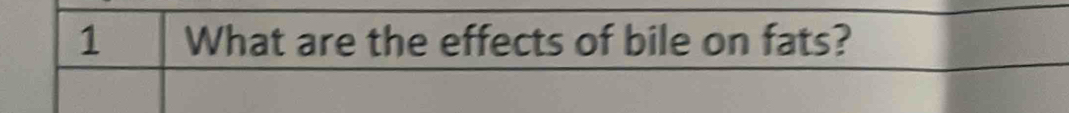 What are the effects of bile on fats?