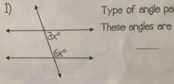 Type of angle pa
These angles are
_