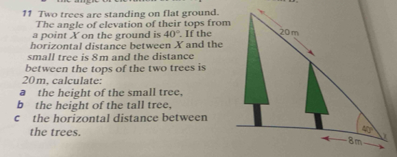 Two trees are standing on flat ground.
The angle of elevation of their tops from
a point X on the ground is 40°. If the
horizontal distance between X and the
small tree is 8m and the distance
between the tops of the two trees is
20m, calculate:
a the height of the small tree,
b the height of the tall tree,
c the horizontal distance between
the trees.