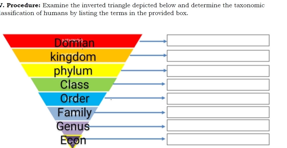 Solved: Procedure: Examine the inverted triangle depicted below and ...