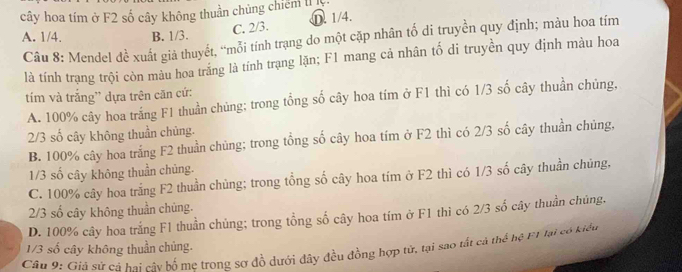 cây hoa tím ở F2 số cây không thuần chủng chiếm r :
B. 1/3. C. 2/3. D. 1/4.
A. 1/4. Câu 8: Mendel đề xuất giả thuyết, “mỗi tính trạng do một cặp nhân tố di truyền quy định; màu hoa tím
là tính trạng trội còn màu hoa trắng là tính trạng lặn; F1 mang cả nhân tố di truyền quy định màu hoa
tím và trắng' dựa trên căn cứ:
A. 100% cây hoa trắng F1 thuần chủng; trong tổng số cây hoa tím ở F1 thì có 1/3 số cây thuần chủng,
2/3 số cây không thuần chủng.
B. 100% cây hoa trắng F2 thuần chủng; trong tổng số cây hoa tím ở F2 thì có 2/3 số cây thuần chủng,
1/3 số cây không thuần chủng.
C. 100% cây hoa trắng F2 thuần chủng; trong tổng số cây hoa tim ở F2 thì có 1/3 số cây thuần chủng,
2/3 số cây không thuần chủng.
D. 100% cây hoa trắng F1 thuần chủng; trong tổng số cây hoa tím ở F1 thì có 2/3 số cây thuần chúng.
Câu 9: Giả sử cá hai cây hố me trong sợ đồ dưới dây đều đồng hợp tử, tại sao tất cả thể hệ F1 lại có kiểu
1/3 số cây không thuần chủng.