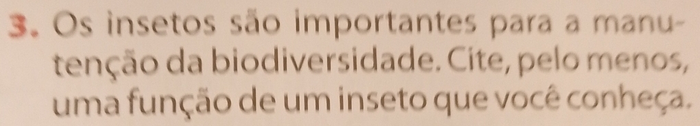 Os insetos são importantes para a manu- 
tenção da biodiversidade. Cite, pelo menos, 
uma função de um inseto que você conheça.