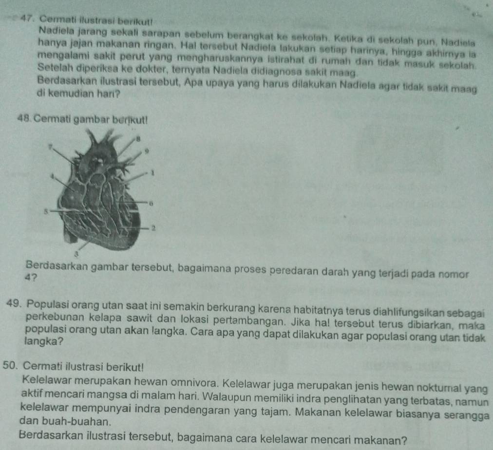 Cermati ilustrasi berikut! 
Nadiela jarang sekali sarapan sebelum berangkat ke sekolah. Ketika di sekolah pun, Nadiela 
hanya jajan makanan ringan. Hal tersebut Nadiela lakukan setiap harinya, hingga akhirnya ia 
mengalami sakit perut yang mengharuskannya istirahat di rumah dan tidak masuk sekolah. 
Setelah diperíksa ke dokter, ternyata Nadiela didiagnosa sakit maag. 
Berdasarkan ilustrasi tersebut, Apa upaya yang harus dilakukan Nadiela agar tidak sakit maag 
di kemudian hari? 
48. 
Berdasarkan gambar tersebut, bagaimana proses peredaran darah yang terjadi pada nomor
4? 
49. Populasi orang utan saat ini semakin berkurang karena habitatnya terus diahlifungsikan sebagai 
perkebunan kelapa sawit dan lokasi pertambangan. Jika ha! tersebut terus dibiarkan, maka 
populasi orang utan akan langka. Cara apa yang dapat dilakukan agar populasi orang utan tidak 
langka? 
50. Cermati ilustrasi berikut! 
Kelelawar merupakan hewan omnivora. Kelelawar juga merupakan jenis hewan nokturnal yang 
aktif mencari mangsa di malam hari. Walaupun memiliki indra penglihatan yang terbatas, namun 
kelelawar mempunyai indra pendengaran yang tajam. Makanan kelelawar biasanya serangga 
dan buah-buahan. 
Berdasarkan ilustrasi tersebut, bagaimana cara kelelawar mencari makanan?