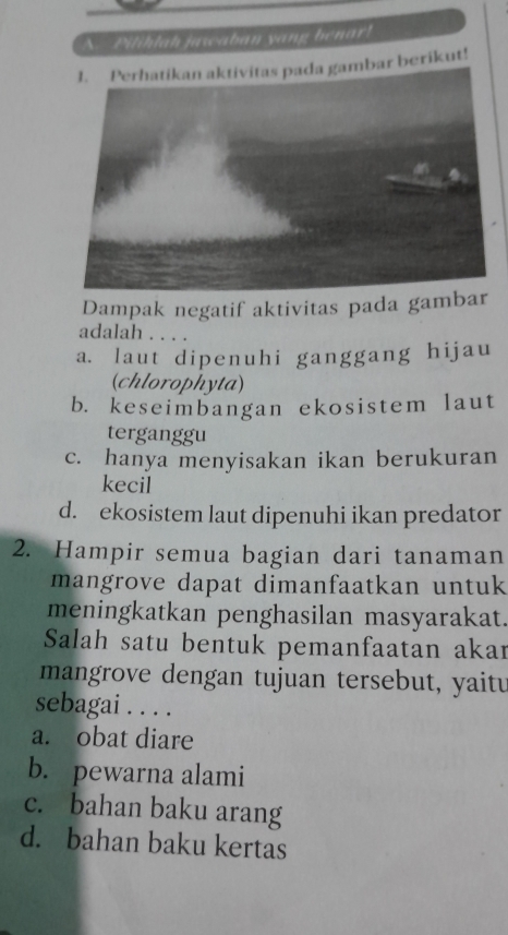 Pilihlah jawaban yang benar!
bar berikut!
Dampak negatif aktivitas pada gam
adalah . . . .
a. laut dipenuhi ganggang hijau
(chlorophyta)
b. keseimbangan ekosistem laut
terganggu
c. hanya menyisakan ikan berukuran
kecil
d. ekosistem laut dipenuhi ikan predator
2. Hampir semua bagian dari tanaman
mangrove dapat dimanfaatkan untuk
meningkatkan penghasilan masyarakat.
Salah satu bentuk pemanfaatan akar
mangrove dengan tujuan tersebut, yaitu
sebagai . . . .
a. obat diare
b. pewarna alami
c. bahan baku arang
d. bahan baku kertas