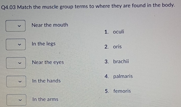 Match the muscle group terms to where they are found in the body.
Near the mouth
1. oculi
In the legs
2. oris
I Near the eyes 3. brachii
4. palmaris
In the hands
5. femoris
In the arms