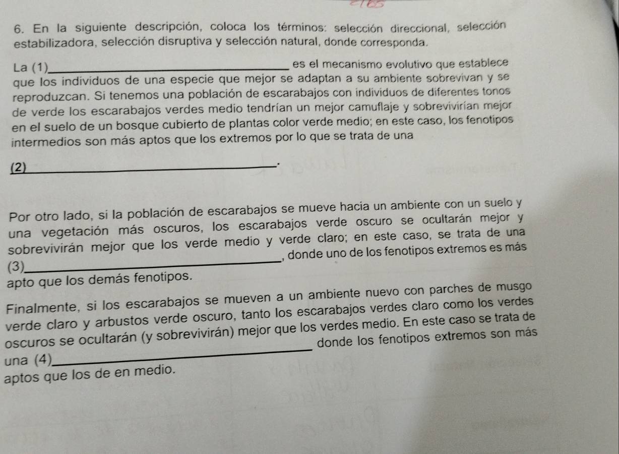 En la siguiente descripción, coloca los términos: selección direccional, selección 
estabilizadora, selección disruptiva y selección natural, donde corresponda. 
La (1)_ es el mecanismo evolutivo que establece 
que los individuos de una especie que mejor se adaptan a su ambiente sobrevivan y se 
reproduzcan. Si tenemos una población de escarabajos con individuos de diferentes tonos 
de verde los escarabajos verdes medio tendrían un mejor camuflaje y sobrevivirían mejor 
en el suelo de un bosque cubierto de plantas color verde medio; en este caso, los fenotipos 
intermedios son más aptos que los extremos por lo que se trata de una 
(2) 
_. 
Por otro lado, si la población de escarabajos se mueve hacia un ambiente con un suelo y 
una vegetación más oscuros, los escarabajos verde oscuro se ocultarán mejor y 
sobrevivirán mejor que los verde medio y verde claro; en este caso, se trata de una 
(3)_ , donde uno de los fenotipos extremos es más 
apto que los demás fenotipos. 
Finalmente, si los escarabajos se mueven a un ambiente nuevo con parches de musgo 
verde claro y arbustos verde oscuro, tanto los escarabajos verdes claro como los verdes 
oscuros se ocultarán (y sobrevivirán) mejor que los verdes medio. En este caso se trata de 
una (4)_ donde los fenotipos extremos son más 
aptos que los de en medio.