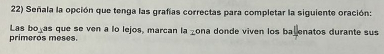 Señala la opción que tenga las grafías correctas para completar la siguiente oración: 
Las boças que se ven a lo lejos, marcan la zona donde viven los ba_enatos durante sus 
primeros meses.