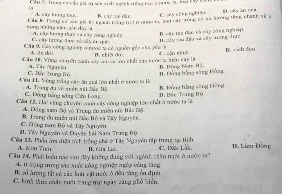 Cầu 7. Trong cơ cầu giá trị sản xuất ngành trồng trọt ở nước ta, loại cây trong
là
A. cây lương thực. B. cây rau đậu. C. cây công nghiệp. D. cây ăn quả.
Câu 8. Trong cơ cấu giá trị ngành trồng trọt ở nước ta, loại cây trồng có xu hướng tăng nhanh về tị
trọng những năm gần đây là
A. cây lương thực và cây công nghiệp.
B. cây rau đậu và cây công nghiệp.
C. cây lương thực và cây ăn quả.
D. cây rau đậu và cây lương thực.
Câu 9. Cây công nghiệp ở nước ta có nguồn gốc chủ yếu là
A. ôn đới. B. nhiệt đới. C. cận nhiệt. D. xích đạo.
Câu 10. Vùng chuyên canh cây cao su lớn nhất của nước ta hiện nay là
A. Tây Nguyên. B. Đông Nam Bộ.
C. Bắc Trung Bộ. D. Đồng bằng sông Hồng.
Câu 11. Vùng trồng cây ăn quả lớn nhất ở nước ta là
A. Trung du và miền núi Bắc Bộ.
B. Đồng bằng sông Hồng.
C. Đồng bằng sông Cửu Long.
D. Bắc Trung Bộ.
Câu 12. Hai vùng chuyên canh cây công nghiệp lớn nhất ở nước ta là
A. Đông nam Bộ và Trung du miền núi Bắc Bộ.
B. Trung du miền núi Bắc Bộ và Tây Nguyên.
C. Đông nam Bộ và Tây Nguyên.
D. Tây Nguyên và Duyên hải Nam Trung Bộ.
Câu 13. Phần lớn diện tích trồng chè ở Tây Nguyên tập trung tại tinh
A. Kon Tum. B. Gia Lai. C. Đắk Lắk. D. Lâm Đồng.
Câu 14. Phát biểu nào sau đây không đúng với ngành chăn nuôi ở nước ta?
A. tỉ trọng trong sản xuất nông nghiệp ngày càng tăng.
B. số lượng tất cả các loài vật nuôi ở đều tăng ồn định.
C. hình thức chăn nuôi trang trại ngày càng phổ biến.