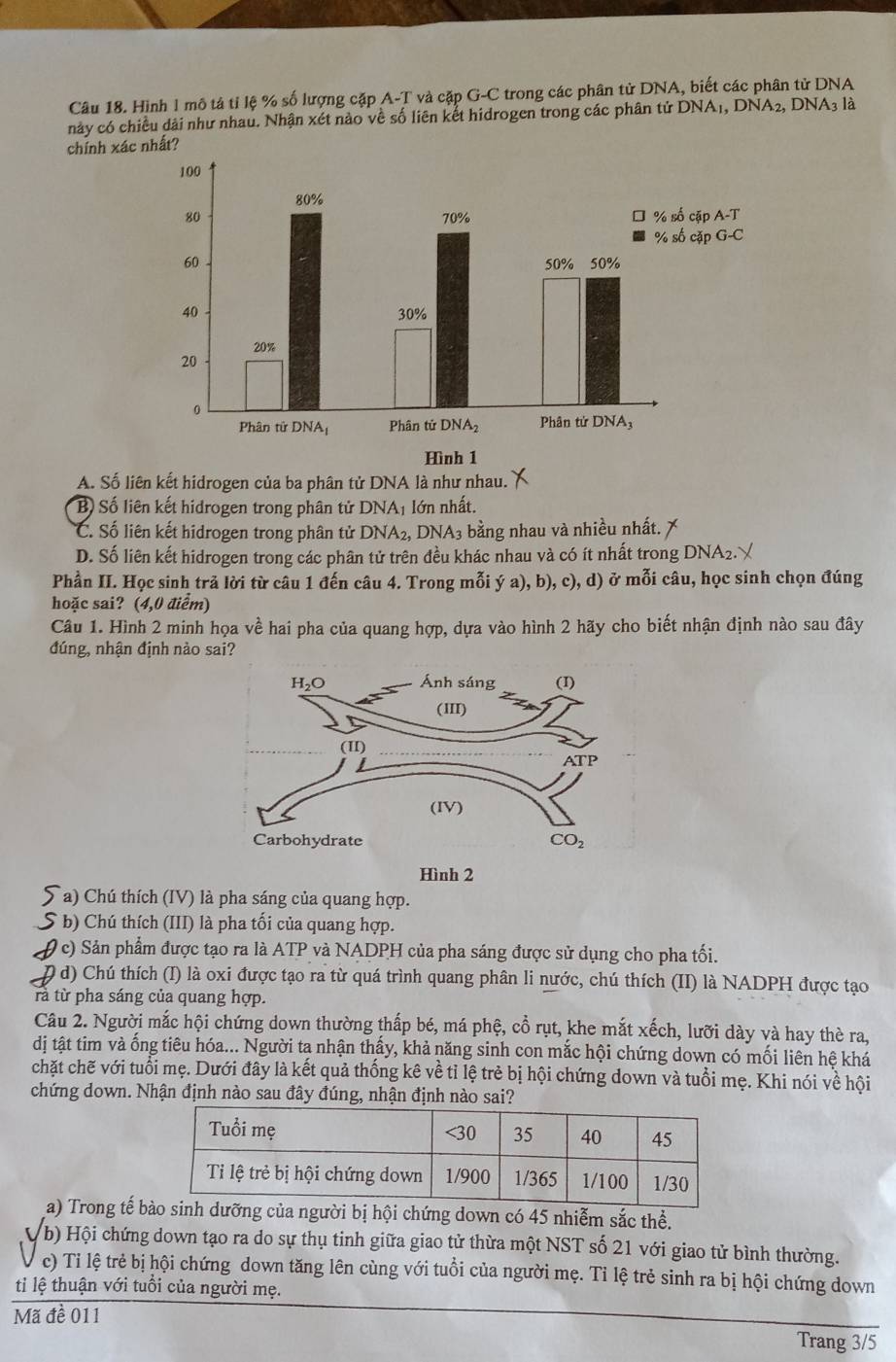 Hình 1 mô tả tỉ lệ % số lượng cặp A-T và cặp G-C trong các phân tử DNA, biết các phân tử DNA
này có chiều dài như nhau. Nhận xét nào về số liên kết hidrogen trong các phân tử DNA1, DNA2, DNA3 là
chính xác nhất?
A. Số liên kết hidrogen của ba phân tử DNA là như nhau.
B Số liên kết hidrogen trong phân tử DNA1 lớn nhất.
C. Số liên kết hidrogen trong phân tử DNA_2 , DNA3 bằng nhau và nhiều nhất.
D. Số liên kết hidrogen trong các phân tử trên đều khác nhau và có ít nhất trong DNA2.
Phần II. Học sinh trả lời từ câu 1 đến câu 4. Trong mỗi ý a), b), c), d) ở mỗi câu, học sinh chọn đúng
hoặc sai? (4,0 điểm)
Câu 1. Hình 2 minh họa về hai pha của quang hợp, dựa vào hình 2 hãy cho biết nhận định nào sau đây
đúng, nhận định nào sai?
Hình 2
Ta) Chú thích (IV) là pha sáng của quang hợp.
* b) Chú thích (III) là pha tối của quang hợp.
9 c) Sản phẩm được tạo ra là ATP và NADPH của pha sáng được sử dụng cho pha tối.
0 d) Chú thích (I) là oxi được tạo ra từ quá trình quang phân li nước, chú thích (II) là NADPH được tạo
tà từ pha sáng của quang hợp.
Câu 2. Người mắc hội chứng down thường thấp bé, má phệ, cổ rụt, khe mắt xếch, lưỡi dày và hay thè ra,
dị tật tim và ống tiêu hóa... Người ta nhận thấy, khả năng sinh con mắc hội chứng down có mối liên hệ khá
chặt chẽ với tuổi mẹ. Dưới đây là kết quả thống kê về tỉ lệ trẻ bị hội chứng down và tuổi mẹ. Khi nói về hội
chứng down. Nhận định nào sau đây đúng, nhận định nào sai?
a) Trong tế bng của người bị hội chứng down có 45 nhiễm sắc thể.
b) Hội chứng down tạo ra do sự thụ tinh giữa giao tử thừa một NST số 21 với giao tử bình thường.
c) Tỉ lệ trẻ bị hội chứng down tăng lên cùng với tuổi của người mẹ. Tỉ lệ trẻ sinh ra bị hội chứng down
ti lệ thuận với tuổi của người mẹ.
Mã đề 011
Trang 3/5