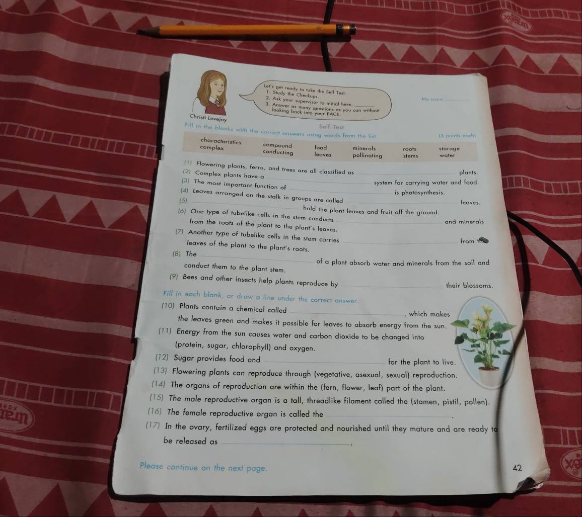 Let's get ready to take the Self Test.
1. Study the Checkups
My scom_
2. Ask your supervisor to initial here
3. Answer as many questions as you can without
looking back into your PACE.
Christi Lovejoy
Self Test
Fill in the blanks with the correct answers using words from the list
(3 points each)
characteristics compound food minerals
complex conducting leaves pollinating roots stems storage water
_
(1) Flowering plants, ferns, and trees are all classified as_
2) Complex plants have a
plants.
system for carrying water and food.
(3) The most important function of
is photosynthesis.
(4) Leaves arranged on the stalk in groups are called leaves.
(5 _hold the plant leaves and fruit off the ground.
(6) One type of tubelike cells in the stem conducts
and minerals
from the roots of the plant to the plant's leaves_
(7) Another type of tubelike cells in the stem carries_
from
leaves of the plant to the plant's roots.
(8) The_
of a plant absorb water and minerals from the soil and
conduct them to the plant stem.
(9) Bees and other insects help plants reproduce by _their blossoms.
Fill in each blank, or draw a line under the correct answer
(10) Plants contain a chemical called_
, which makes
the leaves green and makes it possible for leaves to absorb energy from the sun.
(11) Energy from the sun causes water and carbon dioxide to be changed into
(protein, sugar, chlorophyll) and oxygen.
(12) Sugar provides food and _for the plant to live.
(13) Flowering plants can reproduce through (vegetative, asexual, sexual) reproduction.
(14) The organs of reproduction are within the (fern, flower, leaf) part of the plant.
(15) The male reproductive organ is a tall, threadlike filament called the (stamen, pistil, pollen).

rem
(16) The female reproductive organ is called the_
(17) In the ovary, fertilized eggs are protected and nourished until they mature and are ready to
be released as_
Please continue on the next page.
42