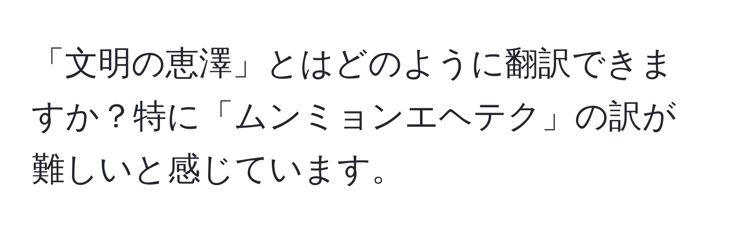 「文明の恵澤」とはどのように翻訳できますか？特に「ムンミョンエヘテク」の訳が難しいと感じています。