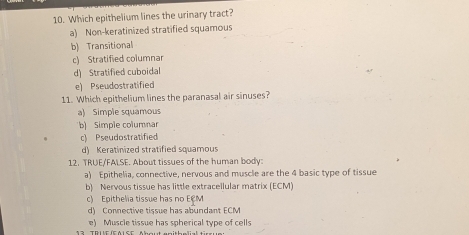 Which epithelium lines the urinary tract?
a) Non-keratinized stratified squamous
b) Transitional
c) Stratified columnar
d) Stratified cuboidal
e) Pseudostratified
11. Which epithelium lines the paranasal air sinuses?
a) Simple squamous
b) Simple columnar
c) Pseudostratified
d) Keratinized stratified squamous
12. TRUE/FALSE. About tissues of the human body
a) Epithelia, connective, nervous and muscle are the 4 basic type of tissue
b) Nervous tissue has little extracellular matrix (ECM)
c) Epithelia tissue has no ECM
d) Connective tissue has abundant ECM
e) Muscle tissue has spherical type of cells
TR UE (EALSE, About enith e