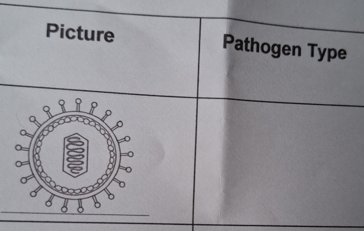 Picture Pathogen Type