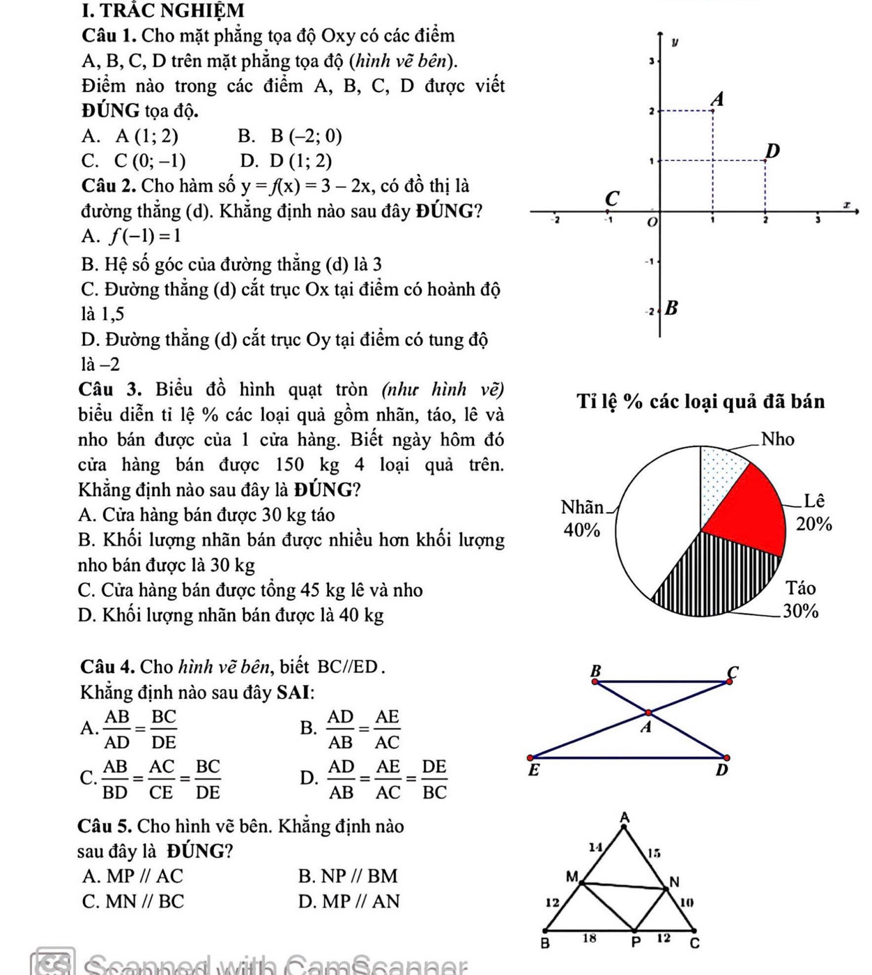 TRÁC NGHIỆM
Câu 1. Cho mặt phẳng tọa độ Oxy có các điểm
y
A, B, C, D trên mặt phẳng tọa độ (hình vẽ bên). 3
Điểm nào trong các điểm A, B, C, D được viết
ĐÚNG tọa độ. 2 A
A. A(1;2) B. B(-2;0)
C. C(0;-1) D. D(1;2) 1
D
Câu 2. Cho hàm số y=f(x)=3-2x :, có đồ thị là
C
r
đường thẳng (d). Khẳng định nào sau đây ĐÚNG? 2 1 0 i 2 3
A. f(-1)=1
B. Hệ số góc của đường thẳng (d) là 3
-1
C. Đường thẳng (d) cắt trục Ox tại điểm có hoành độ
là 1,5
-2 B
D. Đường thẳng (d) cắt trục Oy tại điểm có tung độ
là -2
Câu 3. Biểu đồ hình quạt tròn (như hình vẽ)
biểu diễn tỉ lệ % các loại quả gồm nhãn, táo, lê và Tỉ lệ % các loại quả đã bán
nho bán được của 1 cửa hàng. Biết ngày hôm đó
cửa hàng bán được 150 kg 4 loại quả trên.
Khẳng định nào sau đây là ĐÚNG?
A. Cửa hàng bán được 30 kg táo
B. Khối lượng nhãn bán được nhiều hơn khối lượng 
nho bán được là 30 kg
C. Cửa hàng bán được tổng 45 kg lê và nho
D. Khối lượng nhãn bán được là 40 kg
Câu 4. Cho hình vẽ bên, biết BC//ED.
Khẳng định nào sau đây SAI:
A  AB/AD = BC/DE 
B.  AD/AB = AE/AC 
C.  AB/BD = AC/CE = BC/DE  D.  AD/AB = AE/AC = DE/BC 
Câu 5. Cho hình vẽ bên. Khẳng định nào
sau đây là ĐÚNG?
A. MP//AC B. NP//BM
C. MN//BC D. MPparallel AN
Scanned with CamScanner