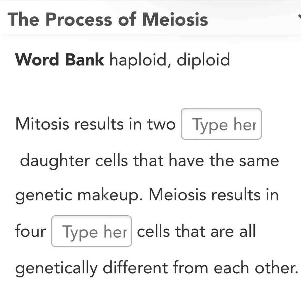 The Process of Meiosis 
Word Bank haploid, diploid 
Mitosis results in two Type her 
daughter cells that have the same 
genetic makeup. Meiosis results in 
four rType her cells that are all 
genetically different from each other.