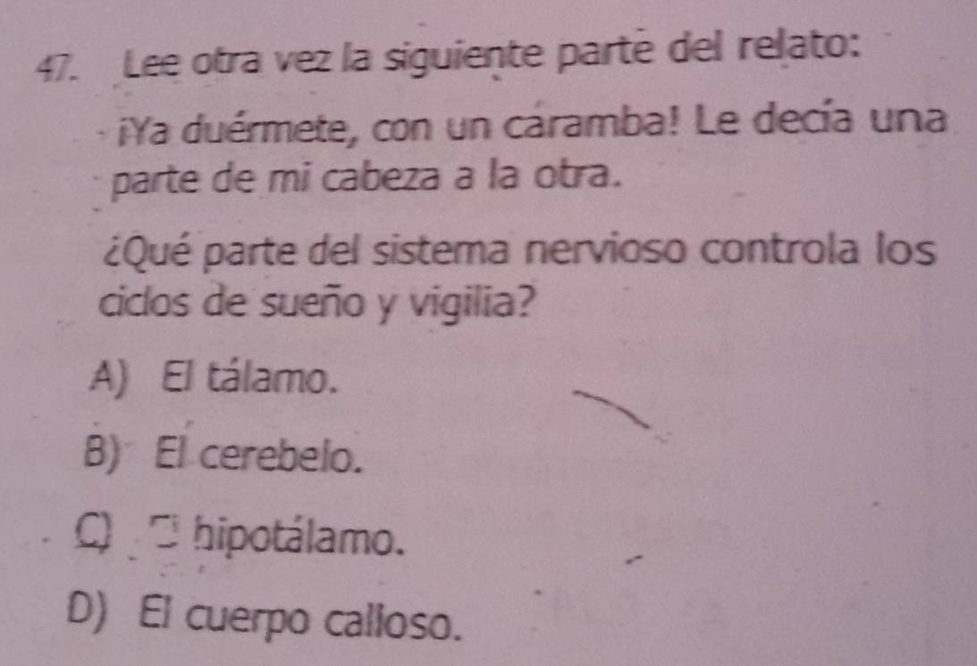 Lee otra vez la siguiente parté del relato:
¡Ya duérmete, con un cáramba! Le decía una
parte de mi cabeza a la otra.
¿Qué parte del sistema nervioso controla los
ciclos de sueño y vigilia?
A) El tálamo.
B) El cerebelo.
C) hipotálamo.
D) El cuerpo calloso.