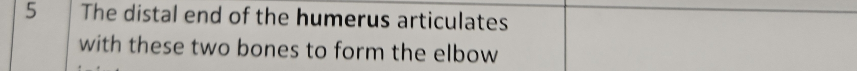 The distal end of the humerus articulates 
with these two bones to form the elbow