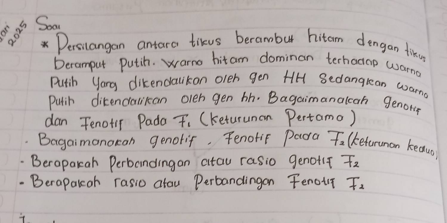 ots Soom 
*Dersilangan antara tikus berambur hitam dengan fikus 
Deramput putih. warmo hit am dominan terhadap wana 
Putih Yang dikendalikon oleh gen HH Sedanglean warna 
putih dikencralikcan oleh gen bh. Bagaimanalcah genotig 
dan Fenotir Pada F_1 (keturunan Pertamo) 
Bagaimanocan genolif. FenofiF Para overline f_2 (ketarunan keauo 
Berapakah Perbandingan atau rasio genot(? F_2
Berapalcoh rasio atau Perbandingan Fenour F_2