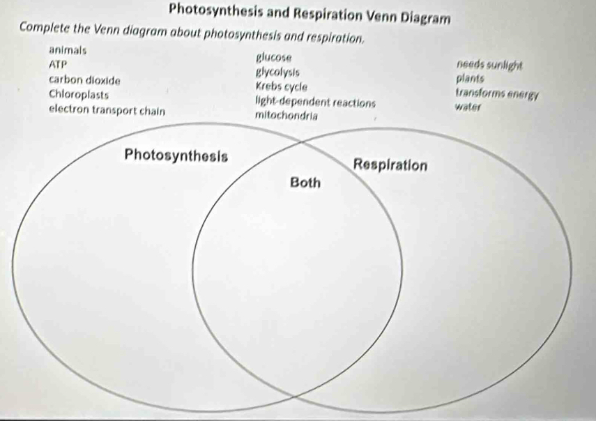 Photosynthesis and Respiration Venn Diagram 
Complete the Venn diagram about photosynthesis and respiration. 
animals glucose needs sunlight 
ATP glycolysis 
plants 
carbon dioxide Krebs cycle transforms energy 
Chloroplasts light-dependent reactions water 
electron transport chain