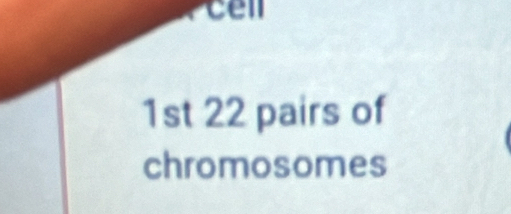 1st 22 pairs of 
chromosomes