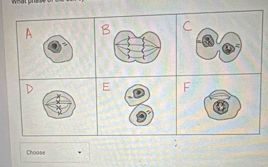 What ph 
Choose