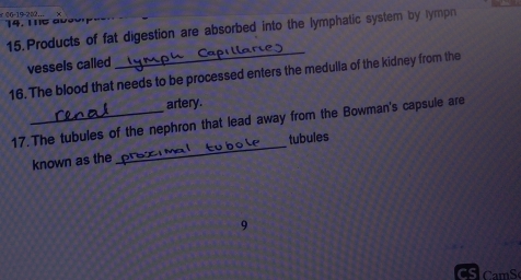 26-19-2=2,. . 1 a u s o 
15. Products of fat digestion are absorbed into the lymphatic system by lympn 
vessels called 
_ 
16. The blood that needs to be processed enters the medulla of the kidney from the 
artery. 
17.The tubules of the nephron that lead away from the Bowman's capsule are 
known as the tubules 
9 
CamS