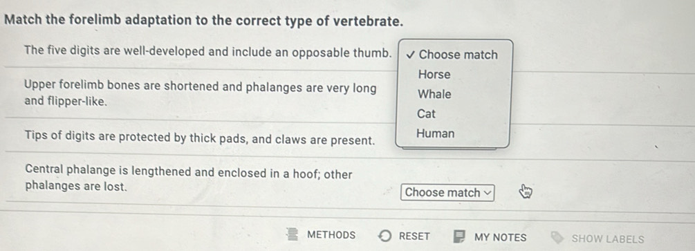 Solved: Match the forelimb adaptation to the correct type of vertebrate ...