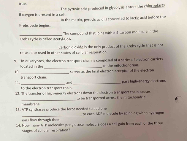 true. 
_The pyruvic acid produced in glycolysis enters the chloroplasts 
if oxygen is present in a cell. 
_In the matrix, pyruvic acid is converted to lactic acid before the 
Krebs cycle begins. 
_The compound that joins with a 4 -carbon molecule in the 
Krebs cycle is called acetyl-CoA. 
_Carbon dioxide is the only product of the Krebs cycle that is not 
re-used or used in other states of cellular respiration. 
9. In eukaryotes, the electron transport chain is composed of a series of electron carriers 
located in the _of the mitochondrion. 
10. _serves as the final electron acceptor of the electron 
transport chain. 
11._ and _pass high-energy electrons 
to the electron transport chain. 
12. The transfer of high-energy electrons down the electron transport chain causes 
_ 
to be transported across the mitochondrial 
membrane. 
13. ATP synthases produce the force needed to add one 
_ 
to each ADP molecule by spinning when hydrogen 
ions flow through them. 
14. How many ATP molecules per glucose molecule does a cell gain from each of the three 
stages of cellular respiration?