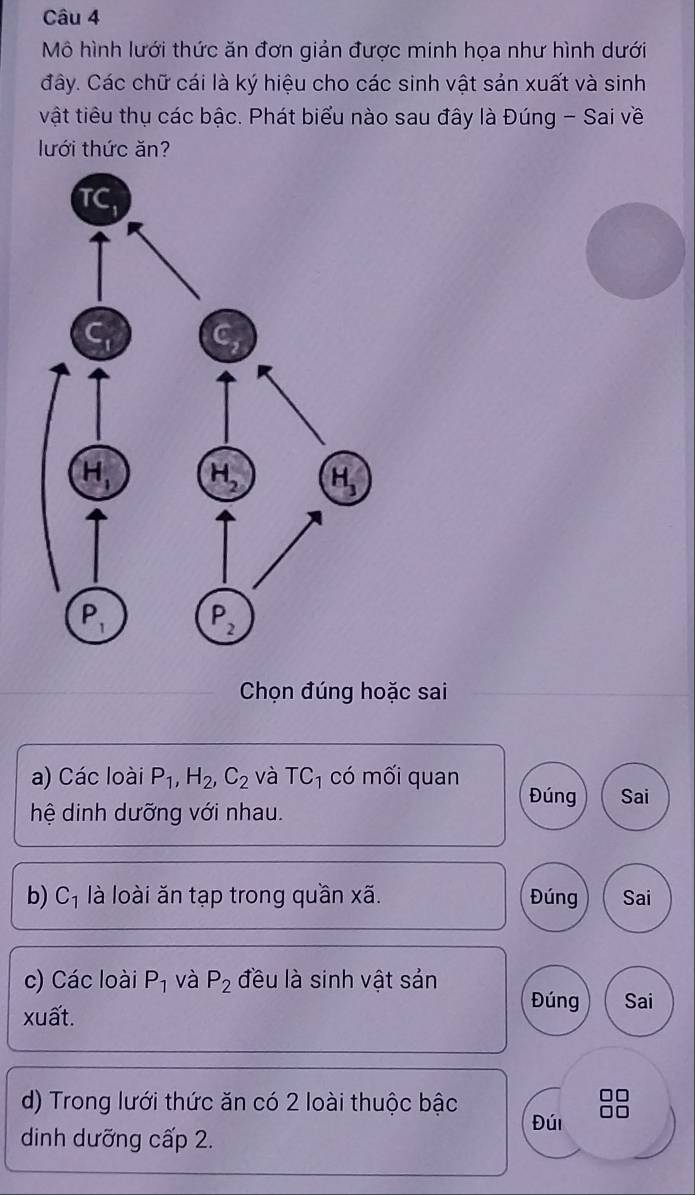 Mô hình lưới thức ăn đơn giản được minh họa như hình dưới
đây. Các chữ cái là ký hiệu cho các sinh vật sản xuất và sinh
vật tiêu thụ các bậc. Phát biểu nào sau đây là Đúng - Sai về
lưới thức ăn?
Chọn đúng hoặc sai
a) Các loài P_1,H_2,C_2 và TC_1 có mối quan
Đúng Sai
hệ dinh dưỡng với nhau.
b) C_1 là loài ăn tạp trong quần xã. Đúng Sai
c) Các loài P_1 và P_2 đều là sinh vật sản
Đúng Sai
xuất.
d) Trong lưới thức ăn có 2 loài thuộc bậc
Đúi
dinh dưỡng cấp 2.