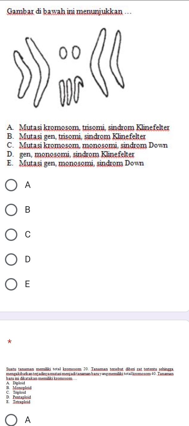 Gambar di bawah ini menunjukkan ...
A. Mutasi kromosom, trisomi, sindrom Klinefelter
B. Mutasi gen, trisomi, sindrom Klinefelter
C. Mutasi kromosom, monosomi, sindrom Down
D. gen, monosomi, sindrom Klinefelter
E. Mutasi gen, monosomi, sindrom Down
A
B
C
D
E
*
Suatu tanaman memiliki total kromosom 20. Tanaman tersebut diberi zat tertentu sehingga
mengakibatkan terjadinya mutasi menjadi tanaman baru yang memiliki total kromosom 40. Tanaman
baru ini dikatakan memiliki kromosom .
A. Diploid
B. Monoploid
C. Triploid
D. Pentaploid
E. Tetraploid
A