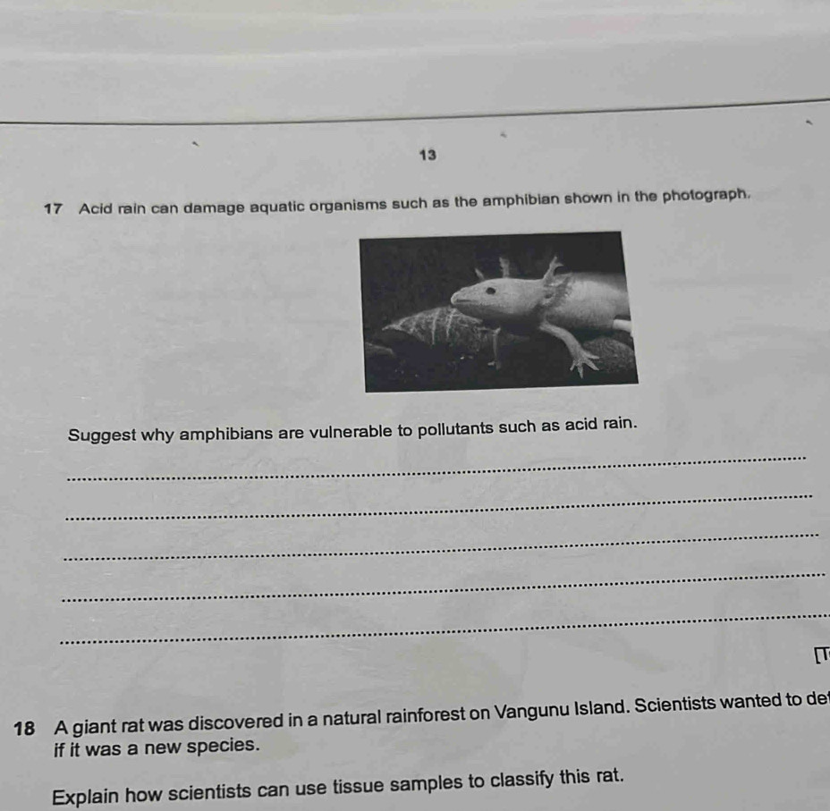 13 
17 Acid rain can damage aquatic organisms such as the amphibian shown in the photograph. 
Suggest why amphibians are vulnerable to pollutants such as acid rain. 
_ 
_ 
_ 
_ 
_ 
[T 
18 A giant rat was discovered in a natural rainforest on Vangunu Island. Scientists wanted to de 
if it was a new species. 
Explain how scientists can use tissue samples to classify this rat.
