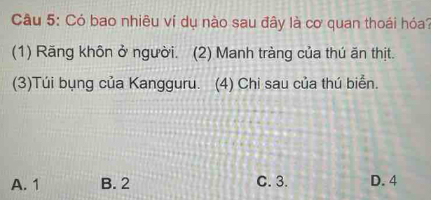 Có bao nhiêu ví dụ nào sau đây là cơ quan thoái hóa?
(1) Răng khôn ở người. (2) Manh tràng của thú ăn thịt.
(3)Túi bụng của Kangguru. (4) Chi sau của thú biển.
A. 1 B. 2 C. 3. D. 4