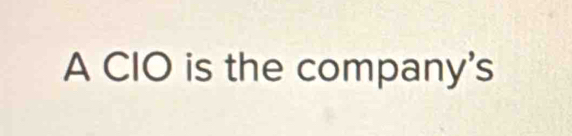 A CIO is the company's