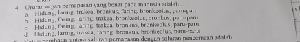 Ururan organ pernapasan yang benar pada manusia adalah. Hidung, laring, trakea, bronkus, faring, bronkeolus, paru-pare C
5. Hidung, faring, laring, trakea, bronkeolus, bronkus, paru-paru
Hidung, faring, laring, trakea, bronkus, bronkeolus, paru-paru
d Hidung, laring, trakea, faring, bronkus, bronkeolus, paru-paru
Katun pembatas antara saluran pernapasan dengan saluran pencernaan adalah..