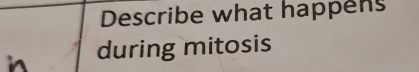 Describe what happens 
i during mitosis