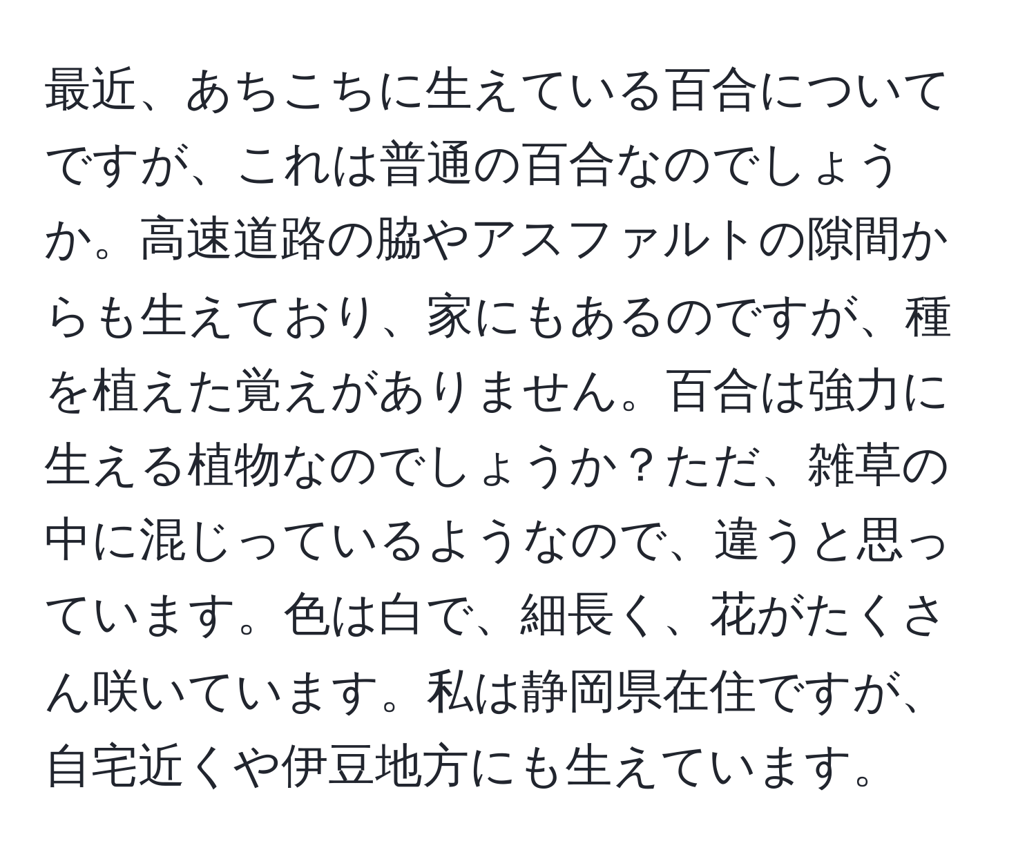 最近、あちこちに生えている百合についてですが、これは普通の百合なのでしょうか。高速道路の脇やアスファルトの隙間からも生えており、家にもあるのですが、種を植えた覚えがありません。百合は強力に生える植物なのでしょうか？ただ、雑草の中に混じっているようなので、違うと思っています。色は白で、細長く、花がたくさん咲いています。私は静岡県在住ですが、自宅近くや伊豆地方にも生えています。