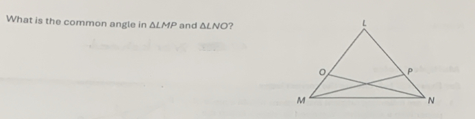 What is the common angle in △ LMP and △ LNO ?