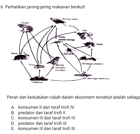 Perhatikan jarring-jaring makanan berikut!
Peran dan kedudukan rubah dalam ekosistem tersebut adalah sebaga
A. konsumen II dan taraf trofi IV
B. predator dan taraf trofi II
C. konsumen III dan taraf trofi IV
D. predator dan taraf trofi III
E. konsumen III dan taraf trofi III