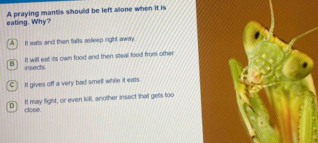 A praying mantis should be left alone when it is
eating. Why?
A It eats and then falls asleep right away.
B It will eat its own food and then steal food from other
insects.
C] It gives off a very bad smell while it eats.
σ It may fight, or even kill, another insect that gets too
close.