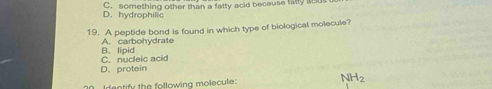 C. something other than a fatty acid because fally acu
D. hydrophilic
19. A peptide bond is found in which type of biological molecule?
A. carbohydrate
B. lipid
C. nucleic acid
D.protein
Idontify the following molecule:
NH_2