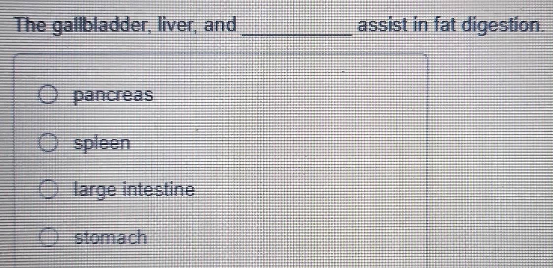 The gallbladder, liver, and _assist in fat digestion.
pancreas
spleen
large intestine
stomach