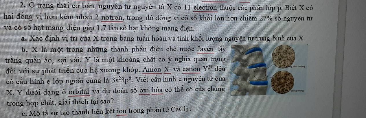 Ở trạng thái cơ bản, nguyên tử nguyên tố X có 11 electron thuộc các phân lớp p. Biết X có 
hai đồng vị hơn kém nhau 2 nơtron, trong đó đồng vị có số khối lớn hơn chiếm 27% số nguyên tử 
và có số hạt mang điện gấp 1, 7 lần số hạt không mang điện. 
a. Xác định vị trí của X trong bảng tuần hoàn và tính khối lượng nguyên tử trung bình của X. 
b. X là một trong những thành phần điều chế nước Javen tây 
trăng quần áo, sợi vải. Y là một khoáng chất có ý nghĩa quan trọng 
đối với sự phát triển của hệ xương khớp. Anion X và cation Y^(2+) đêu 
có cầu hình e lớp ngoài cùng là 3s^23p^6. Viết cầu hình e nguyên tử của
X, Y dưới dạng ô orbital và dự đoán số oxi hóa có thể có của chúng 
trong hợp chất, giải thích tại sao? 
c. Mô tả sự tạo thành liên kết ion trong phân tử CaCl_2.