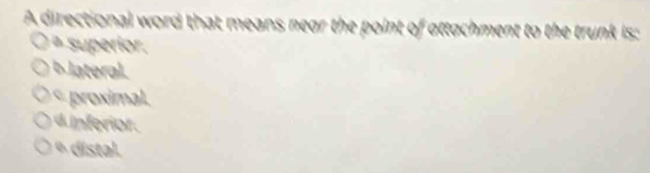 A directional word that means near the point of attachment to the trunk is:
erior .
proximal.
frior
º distal.